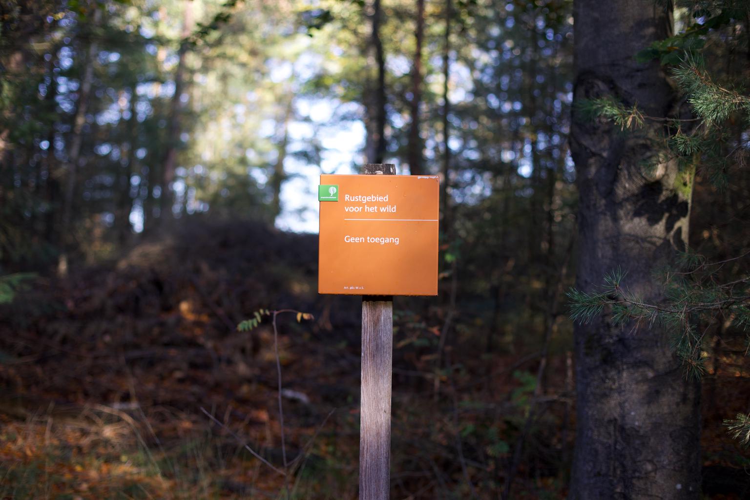 Sign in the forest